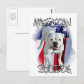 Carte Postale Bulldog américain (Devant / Derrière)
