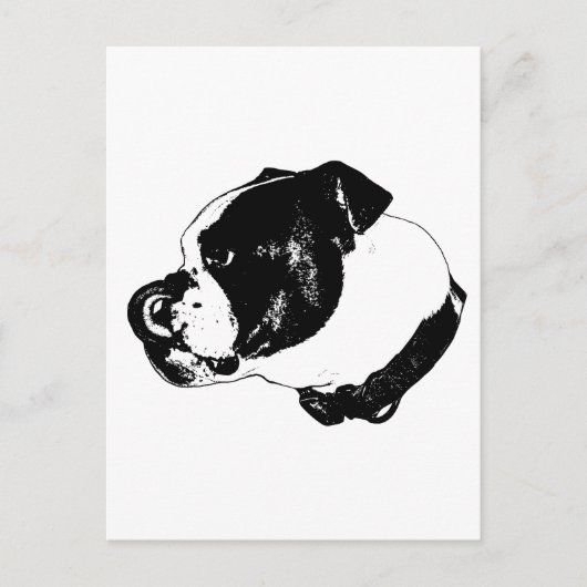 Carte postale Bulldog Bold (Devant)