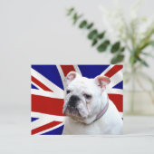 Carte Postale Bulldog britannique (Debout devant)