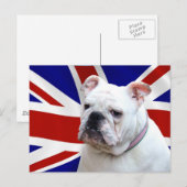 Carte Postale Bulldog britannique (Devant / Derrière)