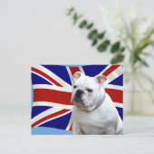 Carte Postale Bulldog britannique (Debout devant)
