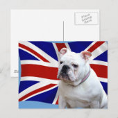 Carte Postale Bulldog britannique (Devant / Derrière)