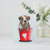 Carte Postale Bulldog Bucket Of Love Red 2 (Debout devant)