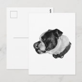 Carte Postale Bulldog Calm Mail (Devant / Derrière)