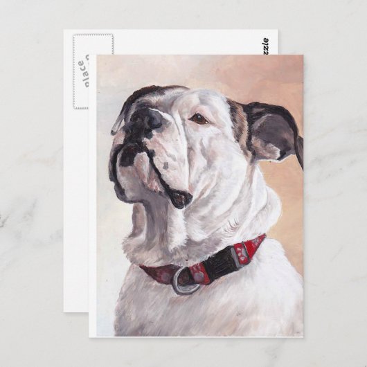 Carte postale Bulldog Chien (Devant / Derrière)