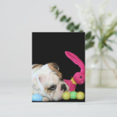 Carte postale Bulldog de Pâques (Debout devant)