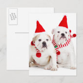 Carte Postale Bulldog Elves (Devant / Derrière)