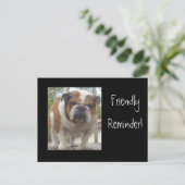 Carte postale Bulldog en anglais (Debout devant)