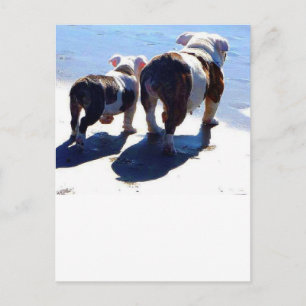 Carte Postale Bulldog et chiot anglais
