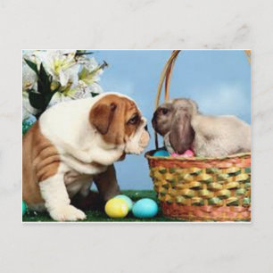 Carte Postale Bulldog et Rabbit