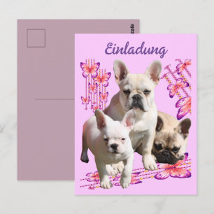 Carte Postale Bulldog français avec trois bulldogs