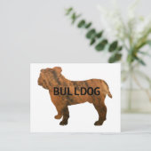 Carte Postale bulldog red brindle nom silo (Debout devant)