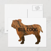 Carte Postale bulldog red brindle nom silo (Devant / Derrière)