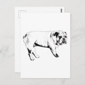 Carte postale Bulldog Snow-Hello (Devant / Derrière)