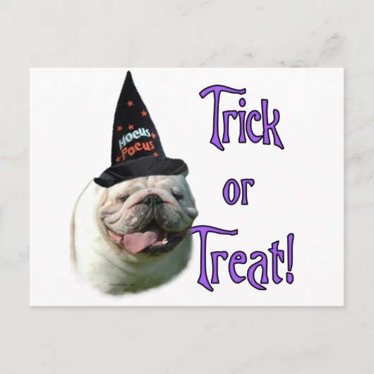 Carte Postale Bulldog Trick (Devant)