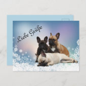 Carte Postale Bulldogen (Devant / Derrière)