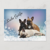 Carte Postale Bulldogen (Devant)