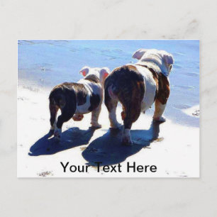 Carte Postale Bulldogs anglais