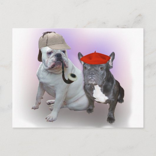 Carte Postale bulldogs anglais et français (Devant)