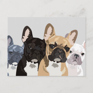 Carte Postale Bulldogs français Belle Frenchie Bulldog