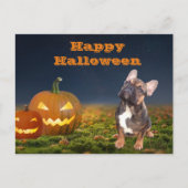 Carte postale bulldogue d'Halloween (Devant)