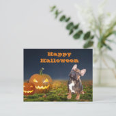 Carte postale bulldogue d'Halloween (Debout devant)