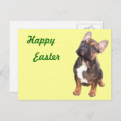 Carte postale bulldogue française (Devant / Derrière)