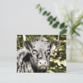 CARTE POSTALE BULLES (Debout devant)