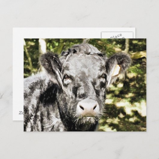 CARTE POSTALE BULLES (Devant / Derrière)