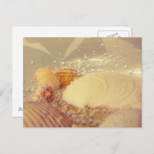 Carte Postale bulles (Devant / Derrière)