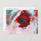 CARTE POSTALE BULLES (Devant / Derrière)