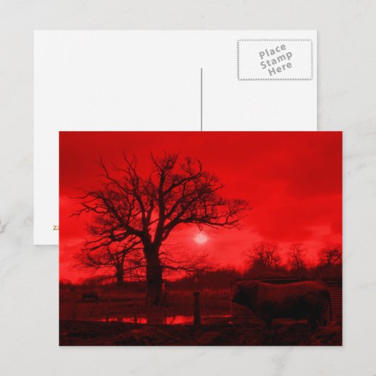 CARTE POSTALE BULLES (Devant / Derrière)