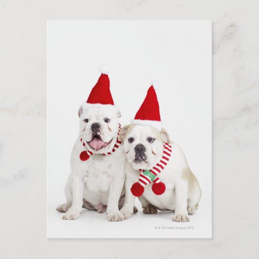Carte Postale Bulles blanches (Devant)