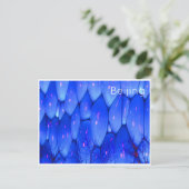 Carte Postale bulles d'eau de beijing (Debout devant)