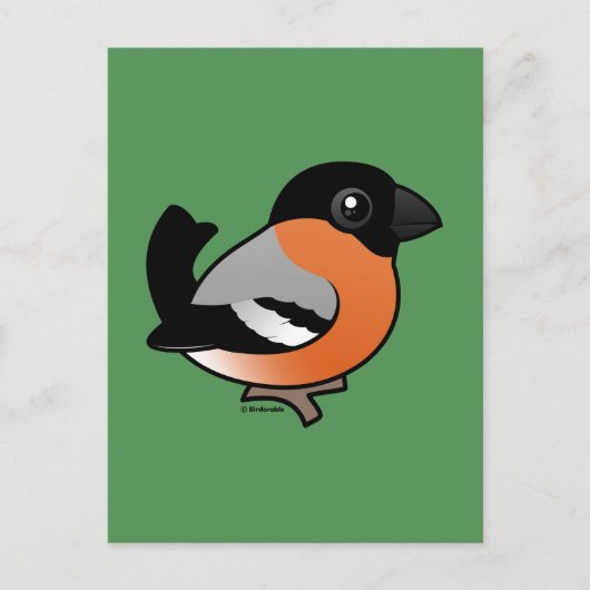 Carte Postale Bullfinch (Devant)