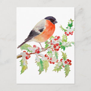 Carte Postale Bullfinch sur branche sainte dans le poste de neig