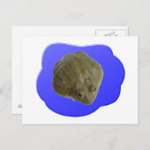 Carte postale Bullfrog (Devant / Derrière)