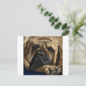 Carte Postale Bullmastiff (Debout devant)