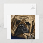 Carte Postale Bullmastiff (Devant / Derrière)