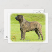 Carte Postale Bullmastiff 9R071D-077 (Devant / Derrière)
