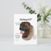 Carte Postale Bullmastiff (broche) (Debout devant)