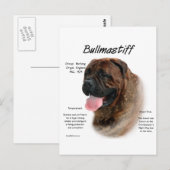 Carte Postale Bullmastiff (broche) (Devant / Derrière)