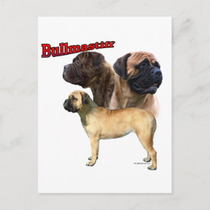 Carte Postale Bullmastiff Trio 2