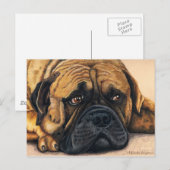 Carte Postale Bullmastiff Waiting - Art de race de chien (Devant / Derrière)
