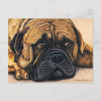 Carte Postale Bullmastiff Waiting - Art de race de chien