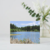 Carte Postale Bullrush - Lac Marshall (Debout devant)