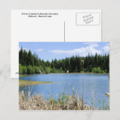 Carte Postale Bullrush - Lac Marshall (Devant / Derrière)