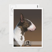 Carte postale Bullterrier 2011 (Devant / Derrière)