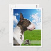 Carte postale Bullterrier 2011 (Devant / Derrière)