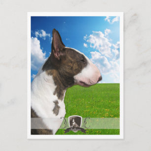 Carte postale Bullterrier 2011